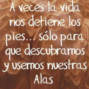 Meet your Posher, Bertha